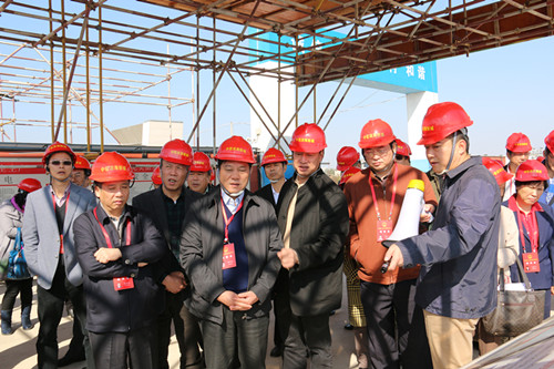 省人大代表视察我市经济社会发展和华侨经济文化合作实验区建设情况