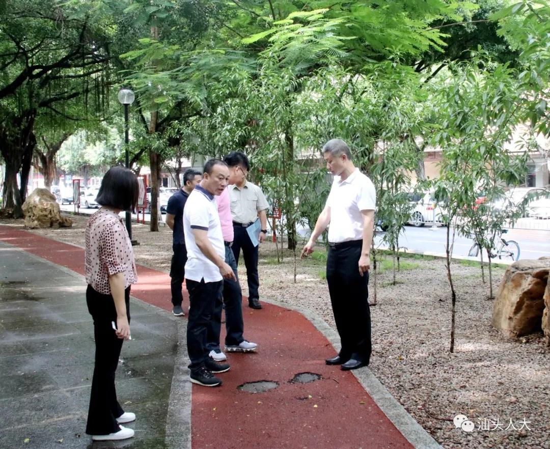 市人大常委會秘書長,辦公室主任李綠岸帶隊到金東街道檢查督導創文