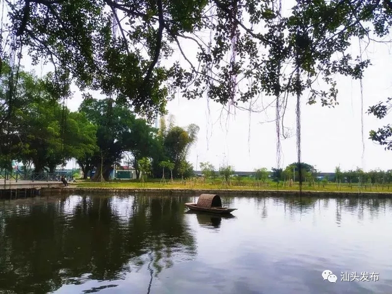 http://www.st.gov.cn/cnst/zjshmst/201907/7bf6d3e2a67a4e89b2ee74dd2b73a576/images/2a9ecfcddcb44f31aac0278a100118be.jpg