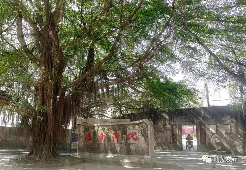http://www.st.gov.cn/cnst/zjshmst/201907/7bf6d3e2a67a4e89b2ee74dd2b73a576/images/c25d8f78747e4b08adcaafb743828f2b.jpg